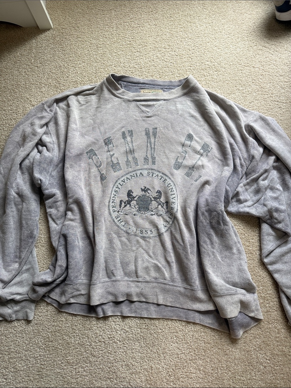 Vintage Penn State Sweatshirt